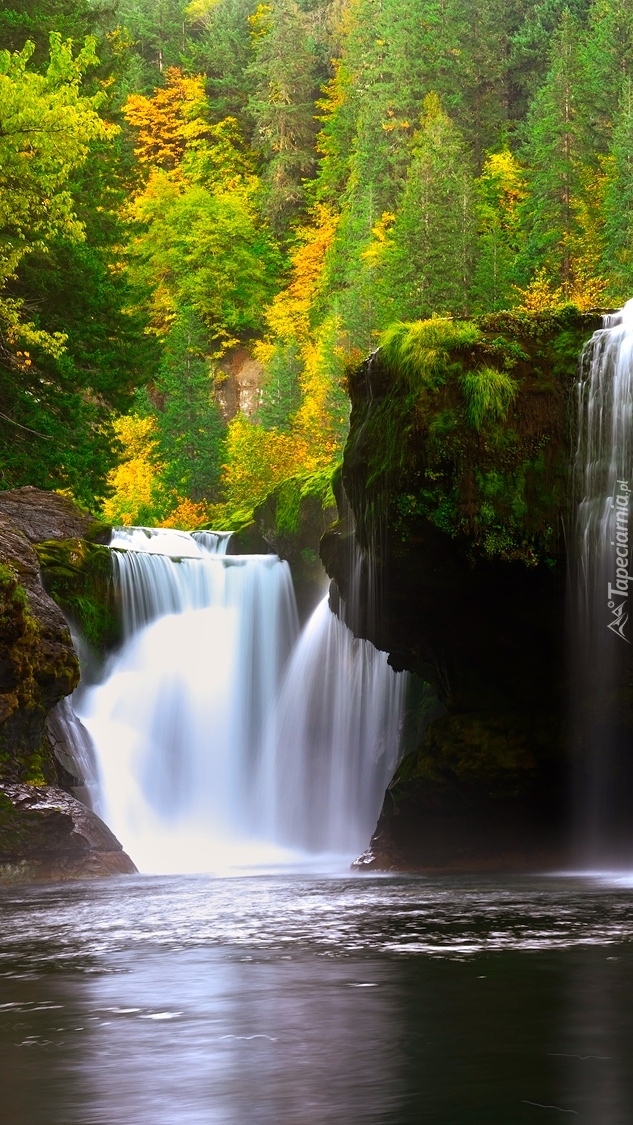 Wodospad Lower Lewis River Falls