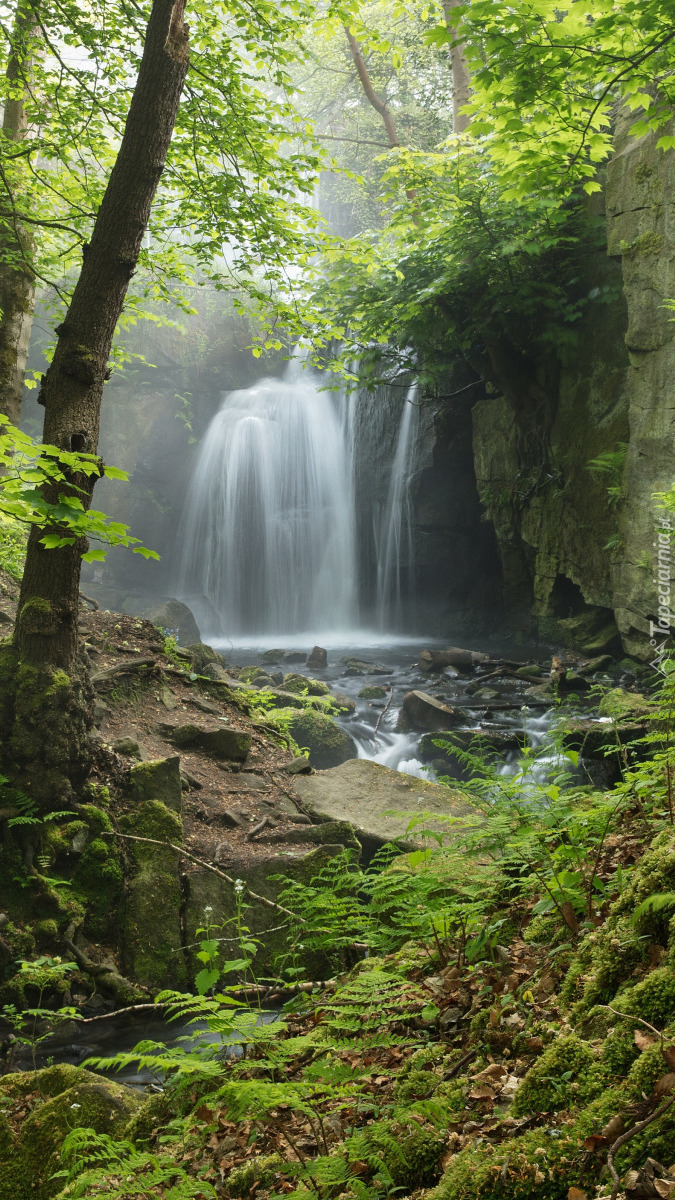 Wodospad Lumsdale Falls wśród zieleni