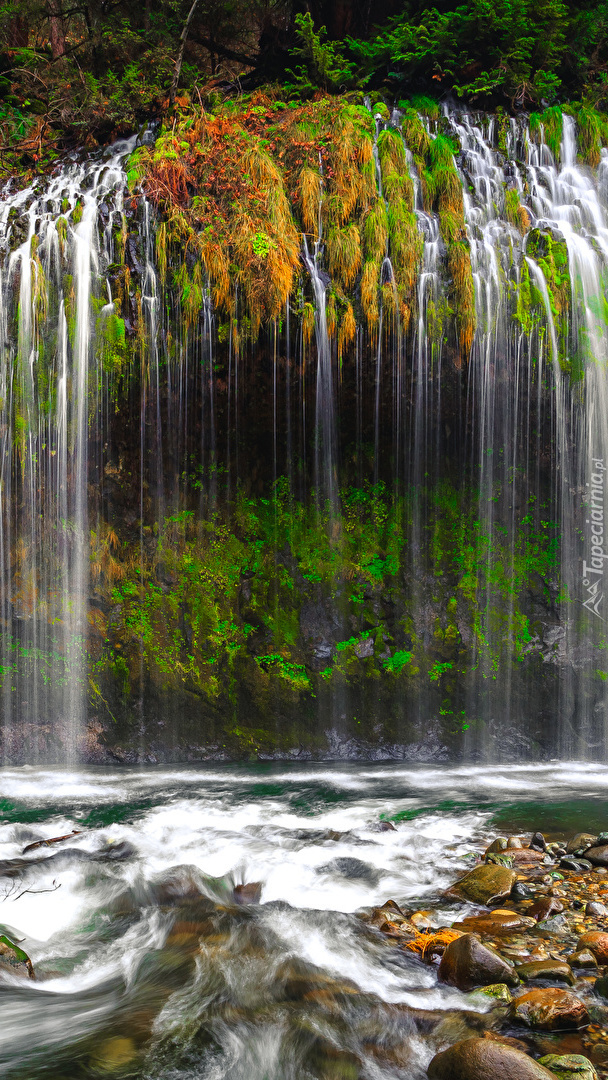 Wodospad Mossbrae Falls