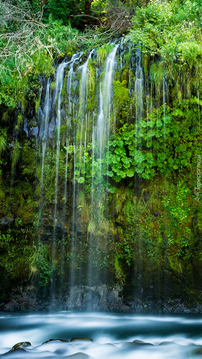 Wodospad Mossbrae Falls