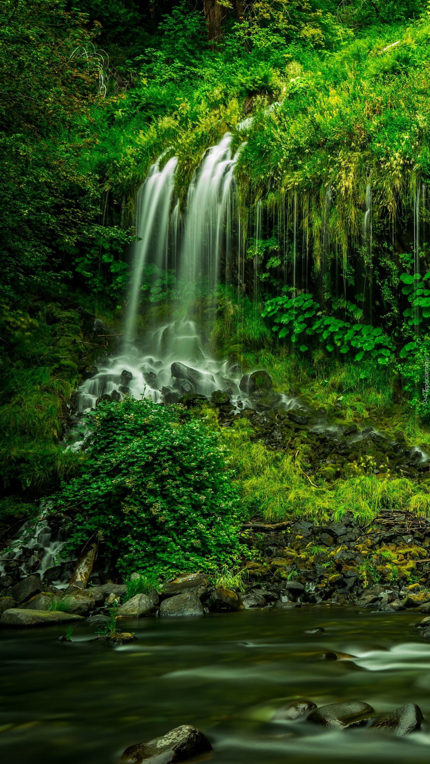 Wodospad Mossbrae Falls