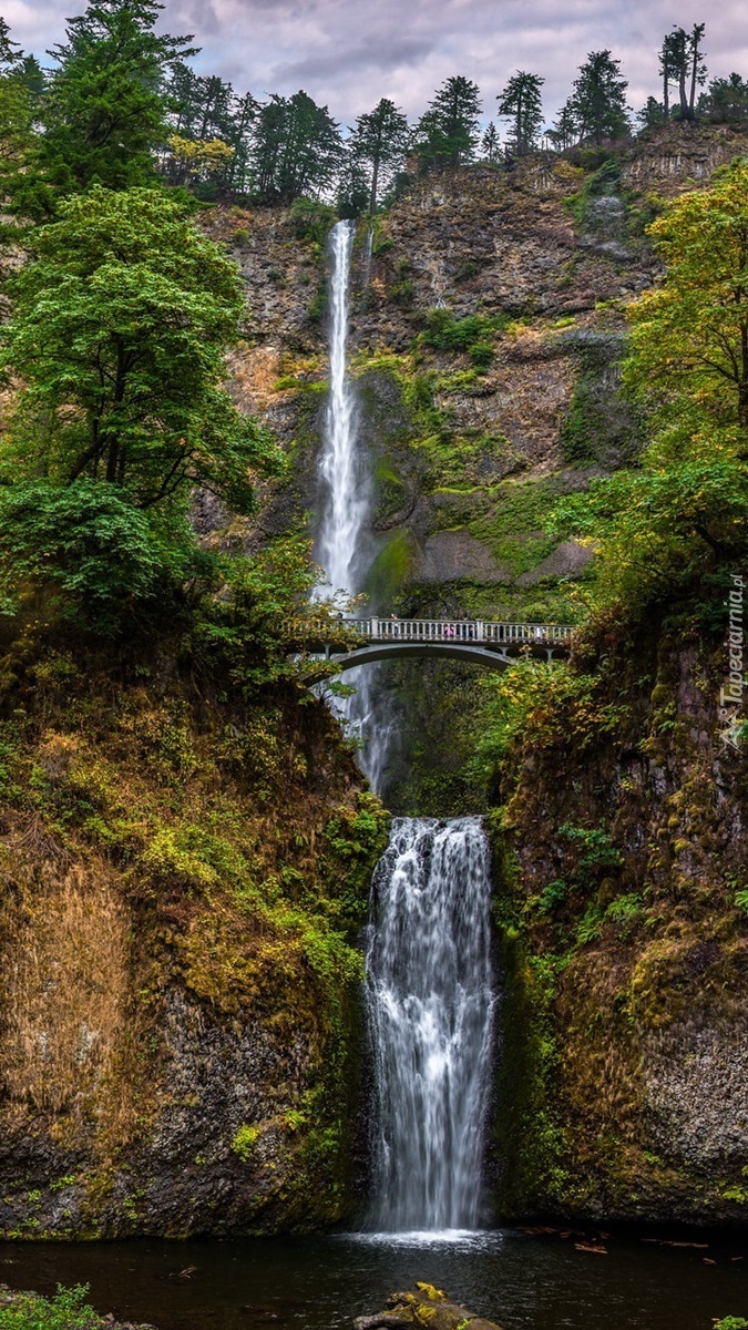 Wodospad Multnomah Falls w Oregonie