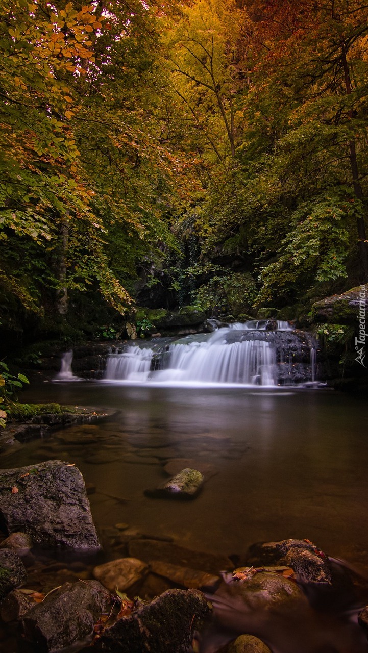 Wodospad na rzece w jesiennym lesie