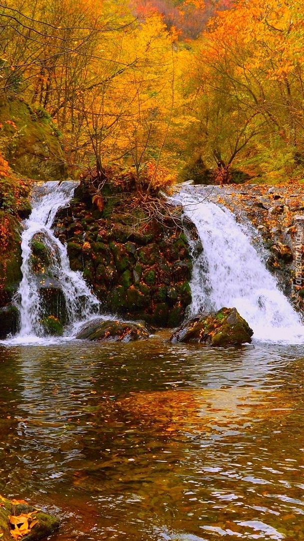 Wodospad na rzece w jesiennym lesie