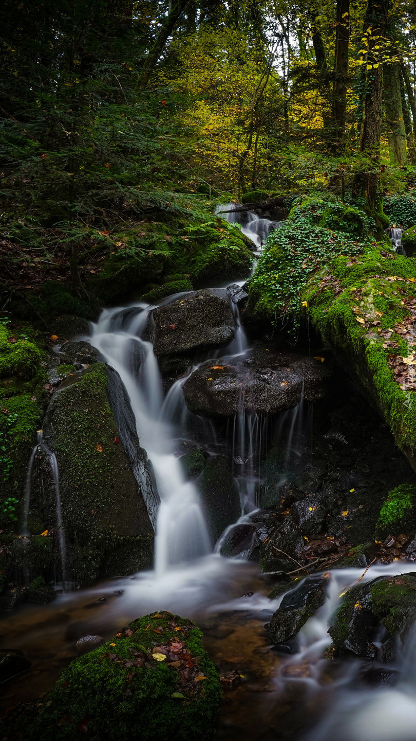 Wodospad na skałach w lesie