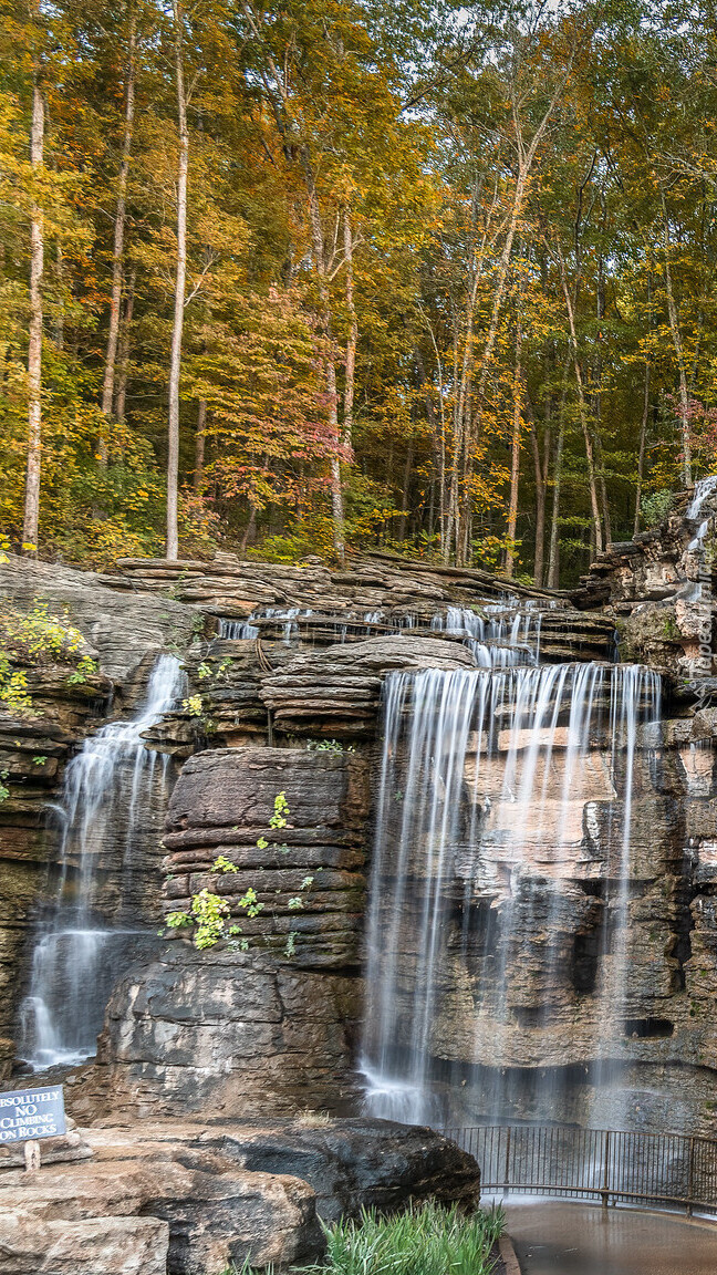 Wodospad na skale w jesiennym lesie