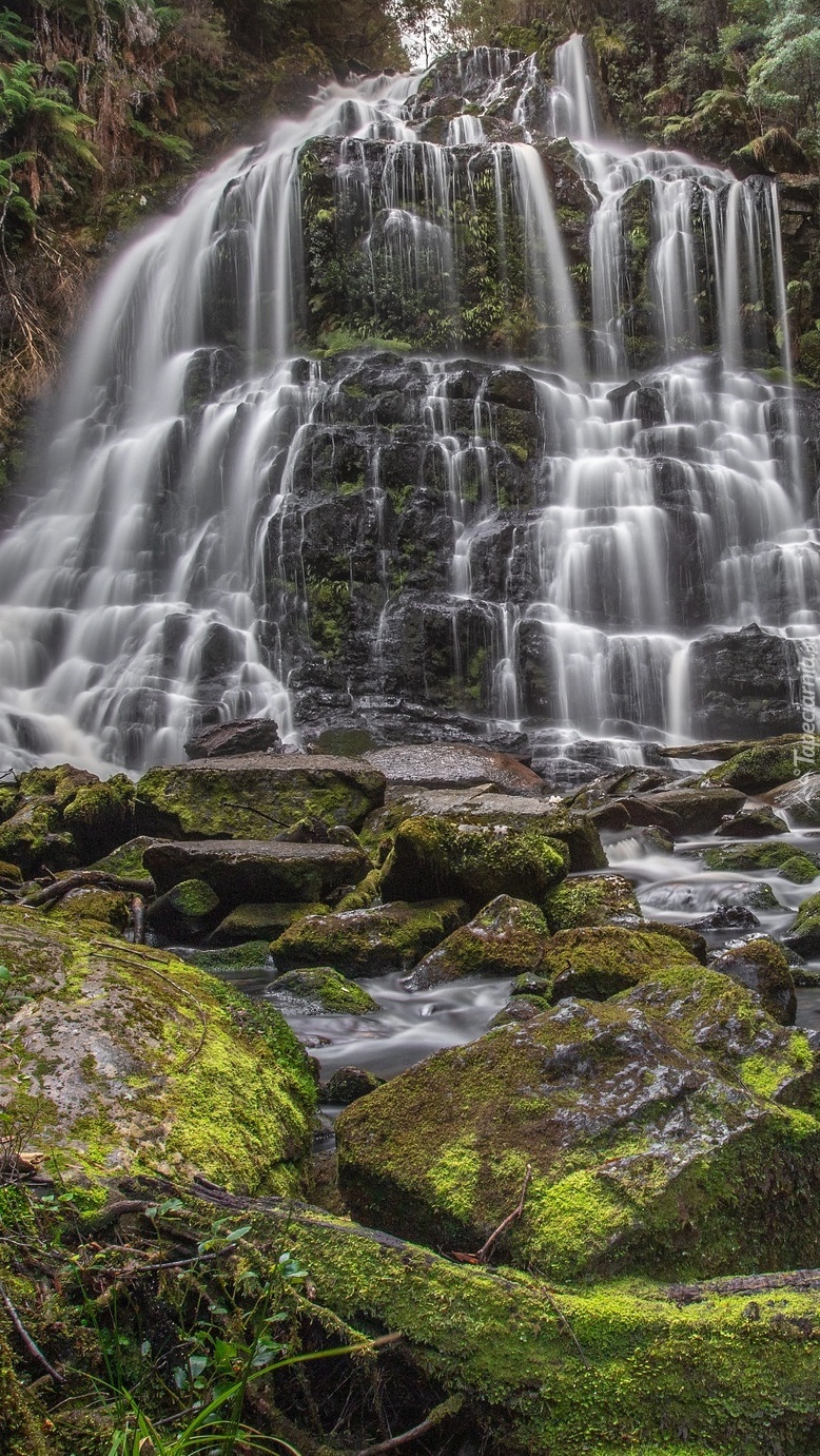 Wodospad Nelson Falls w Tasmanii