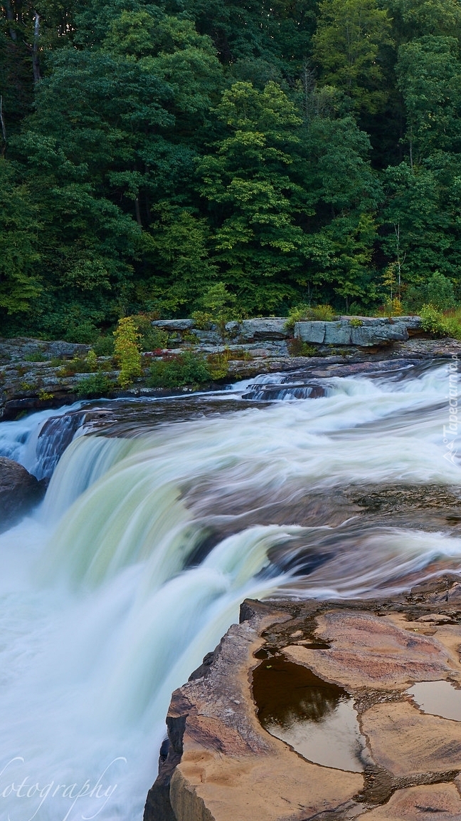 Wodospad Ohiopyle Falls na rzece Youghiogheny River