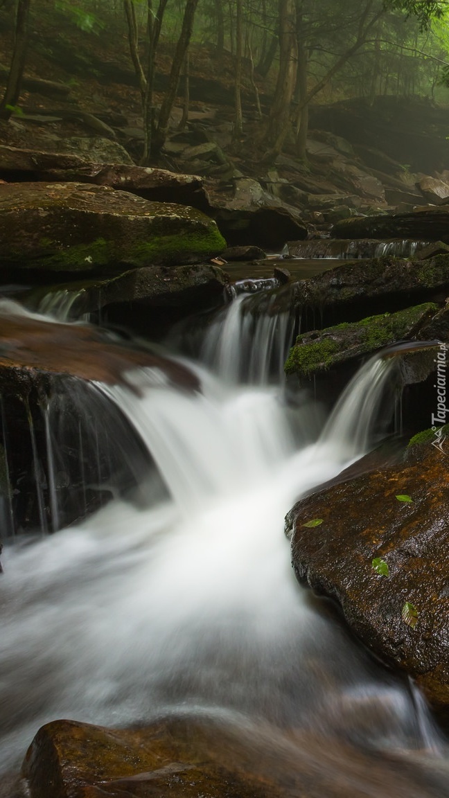 Wodospad Oneida Falls