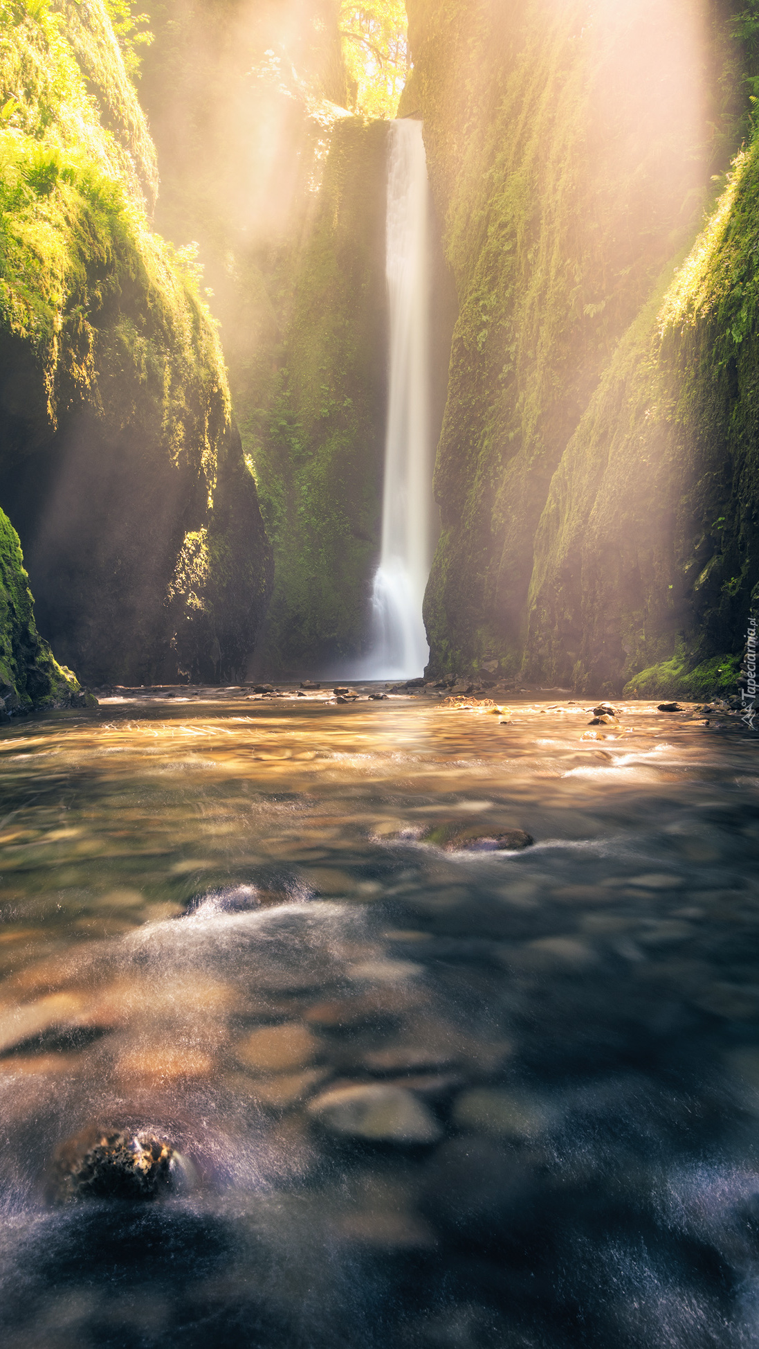 Wodospad Oneonta Gorge