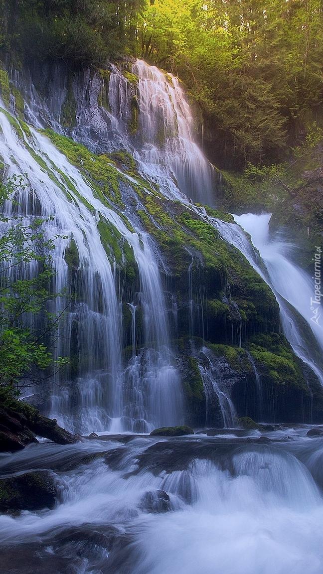 Wodospad Panther Creek Falls