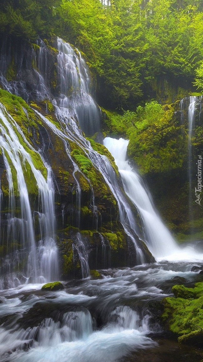 Wodospad Panther Creek Falls