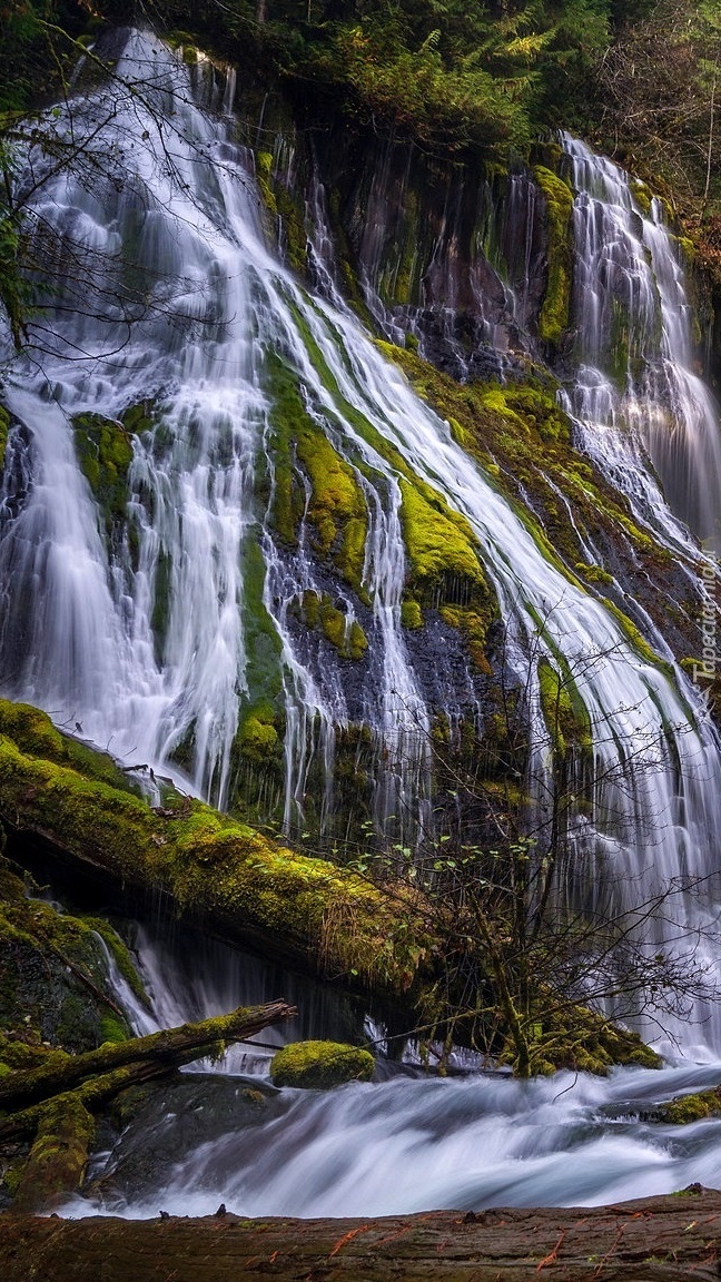 Wodospad Panther Creek Falls