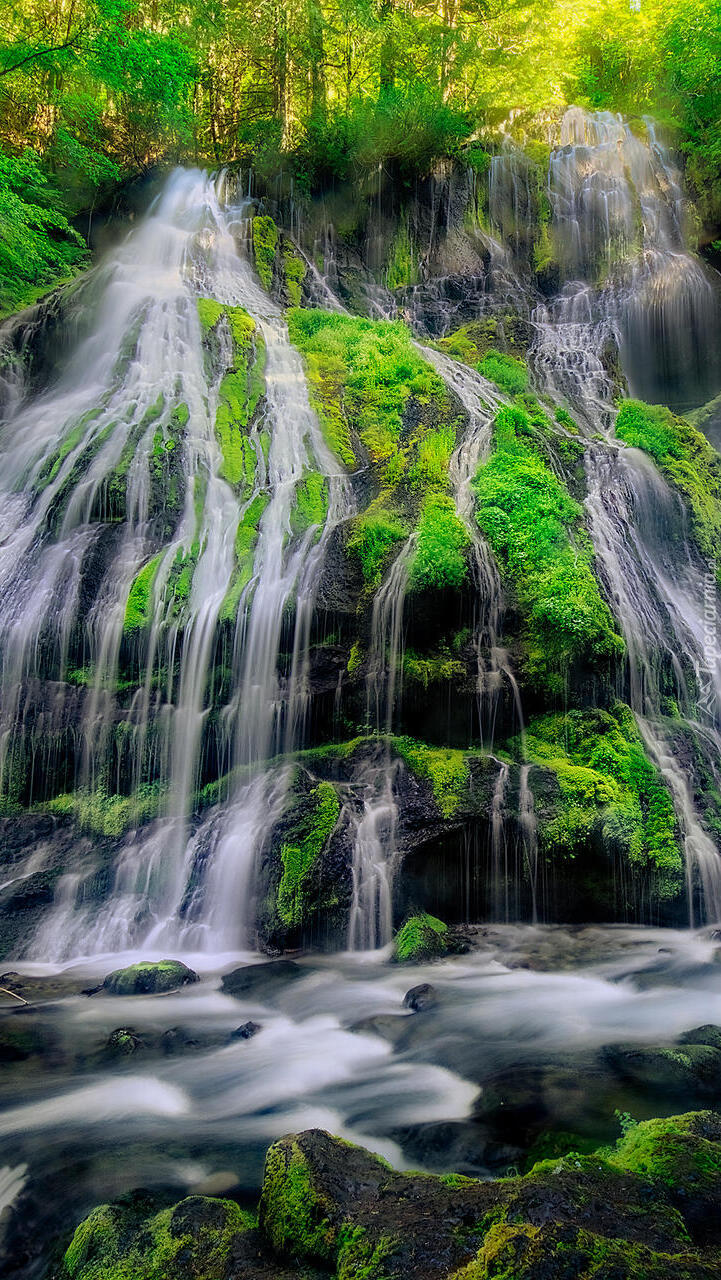 Wodospad Panther Creek Falls