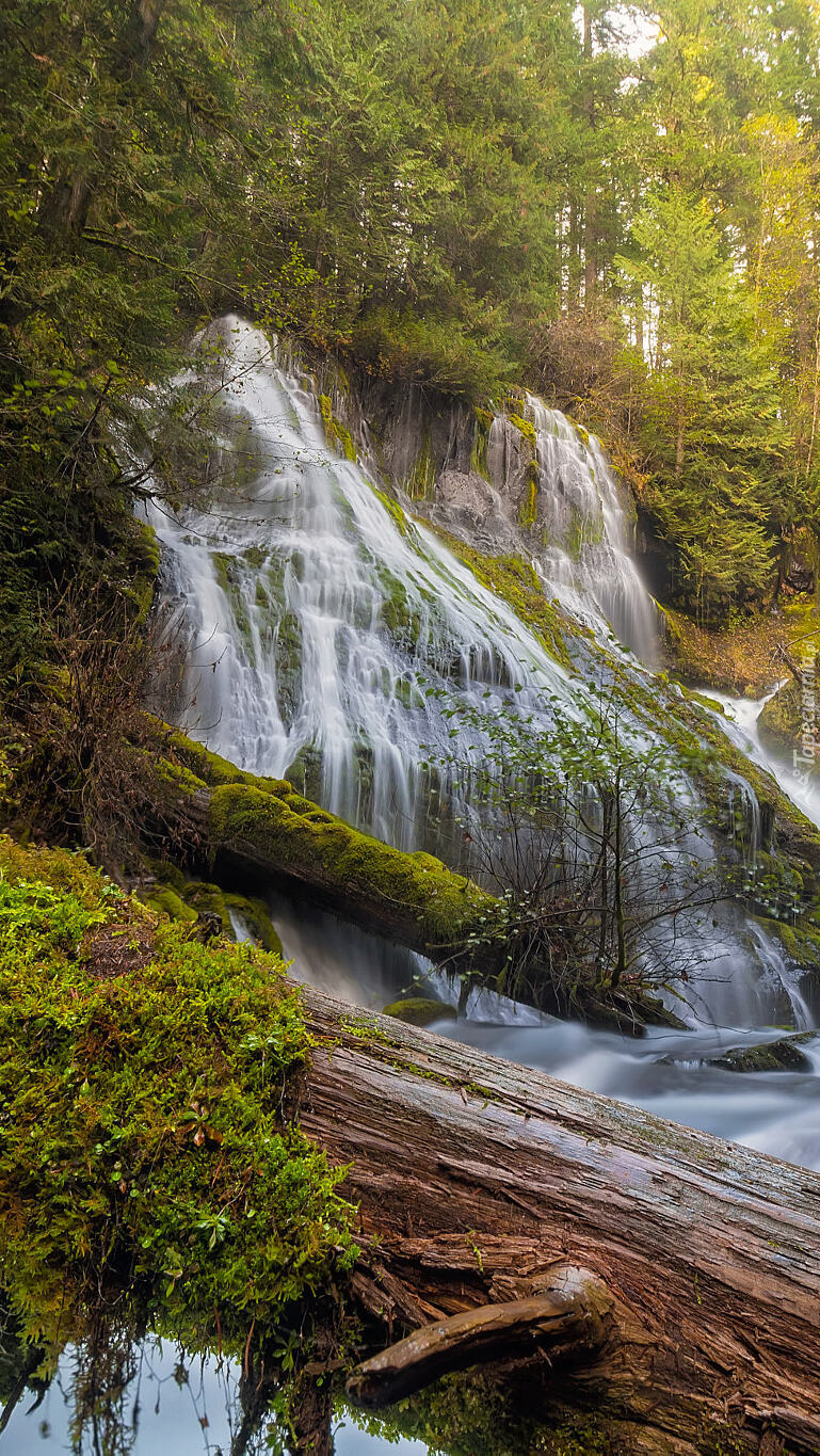 Wodospad Panther Creek Falls