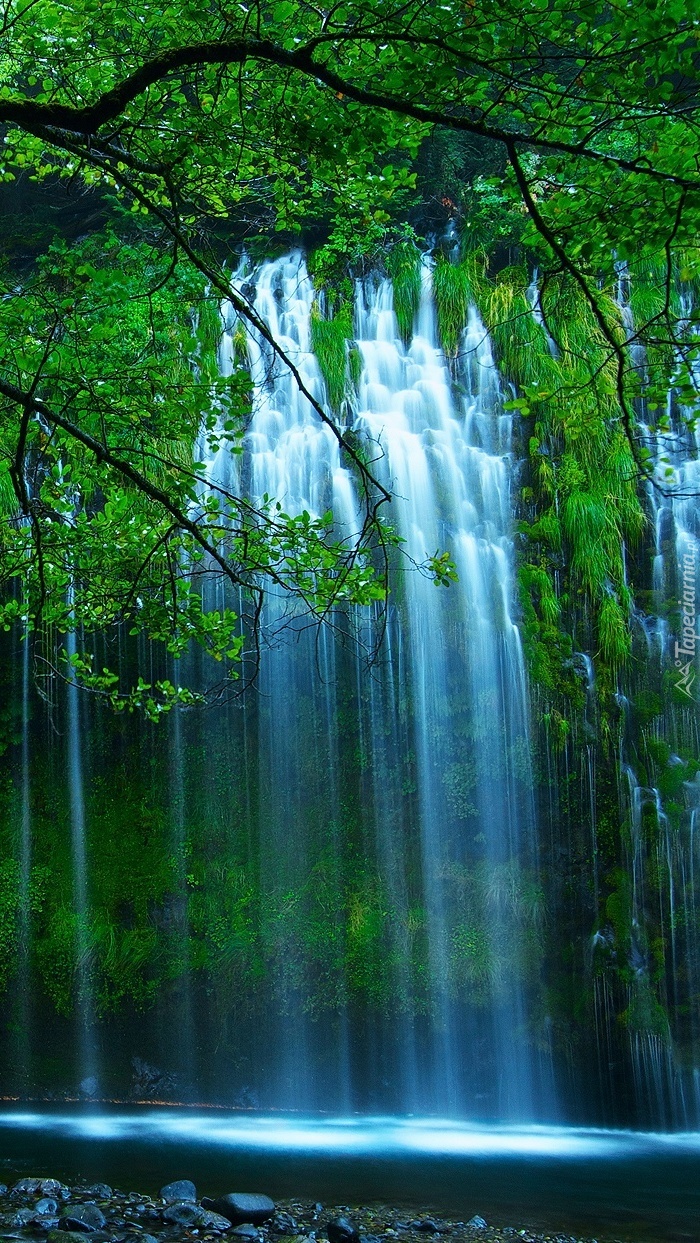 Wodospad pośród drzew