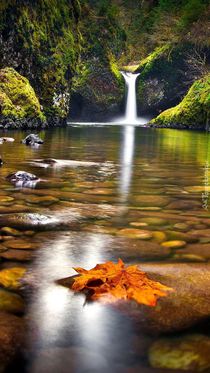 Wodospad Punch Bowl Falls