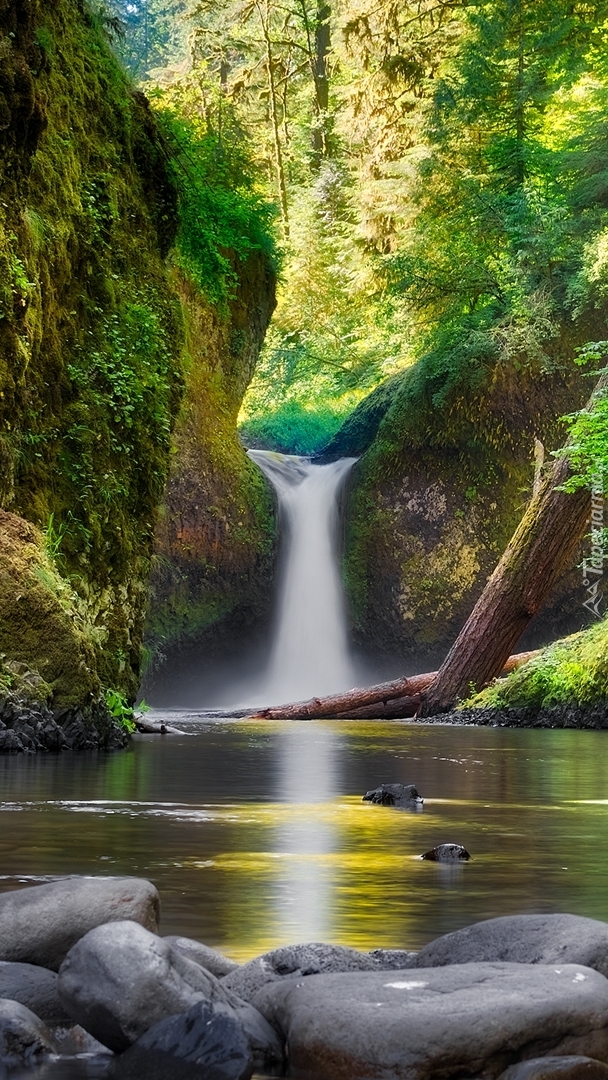 Wodospad Punch Bowl Falls