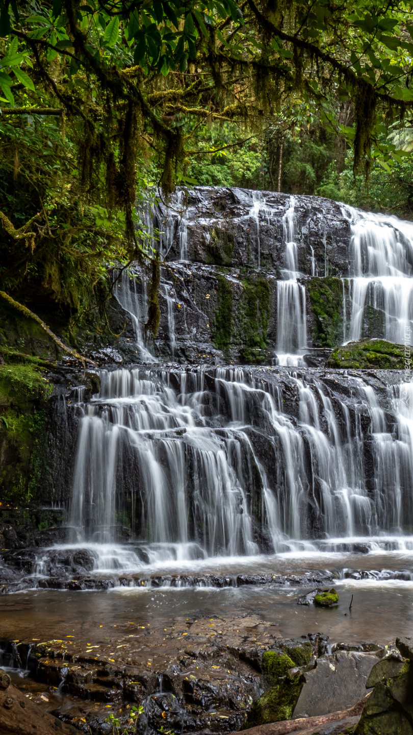 Wodospad Purakaunui Falls na skałach