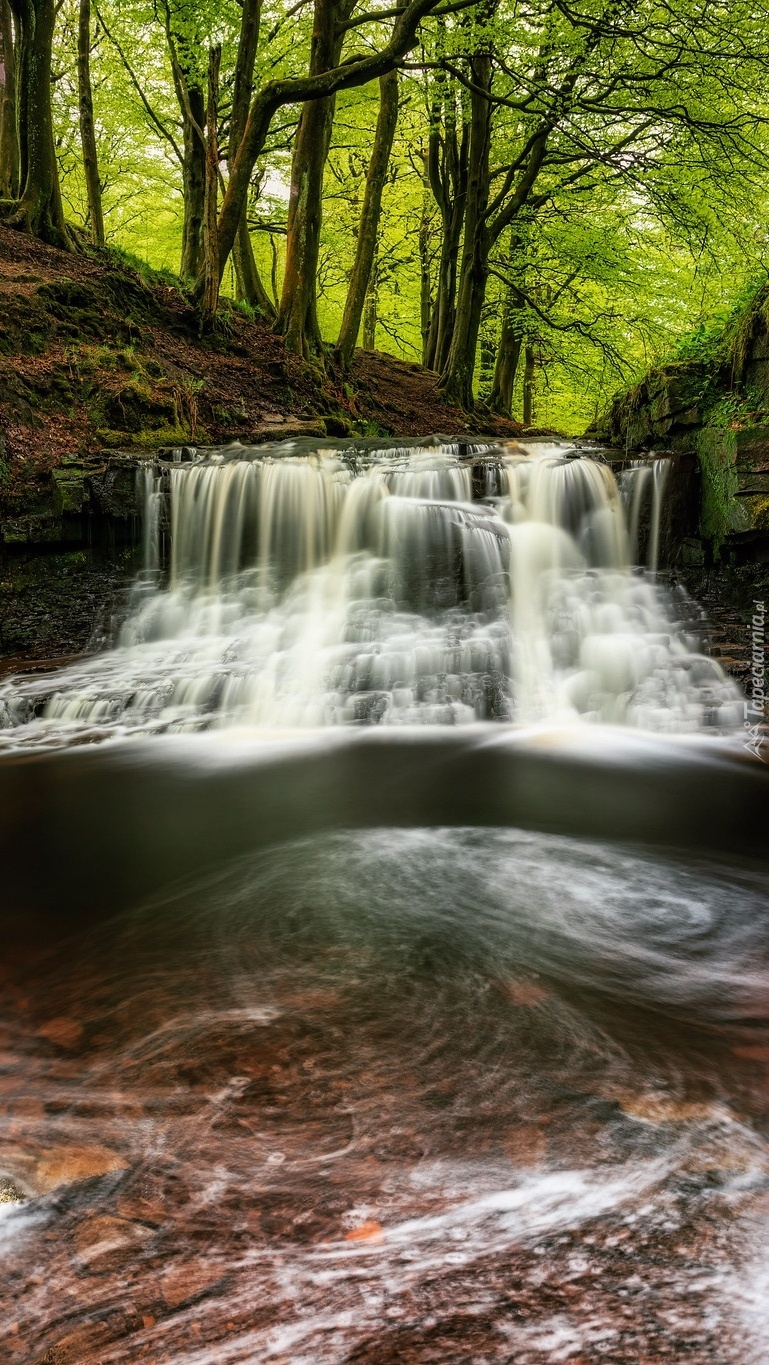 Wodospad Roddlesworth Waterfall