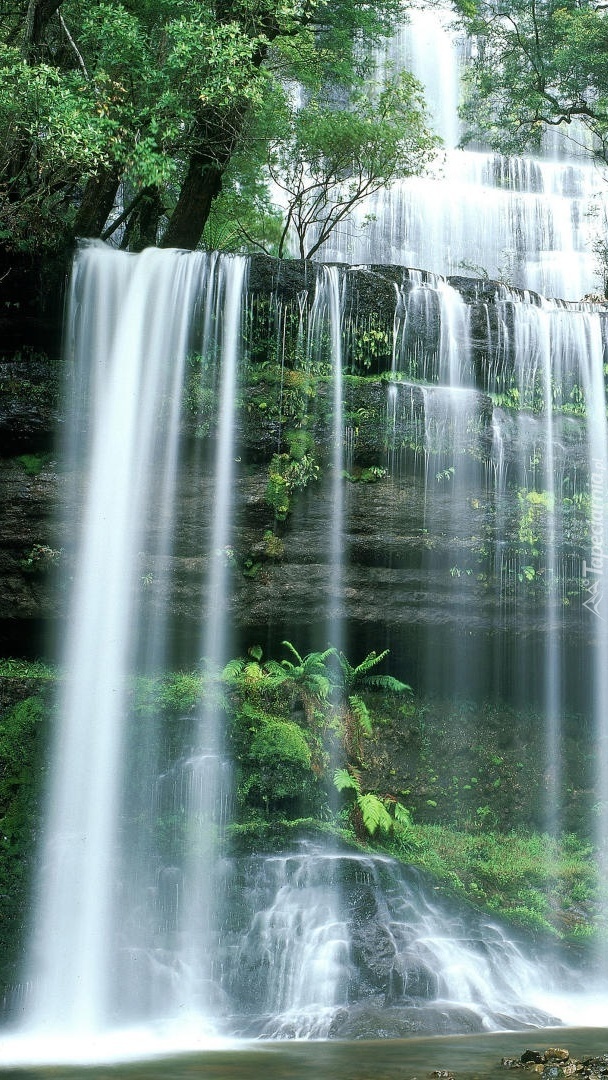 Wodospad Russell Falls