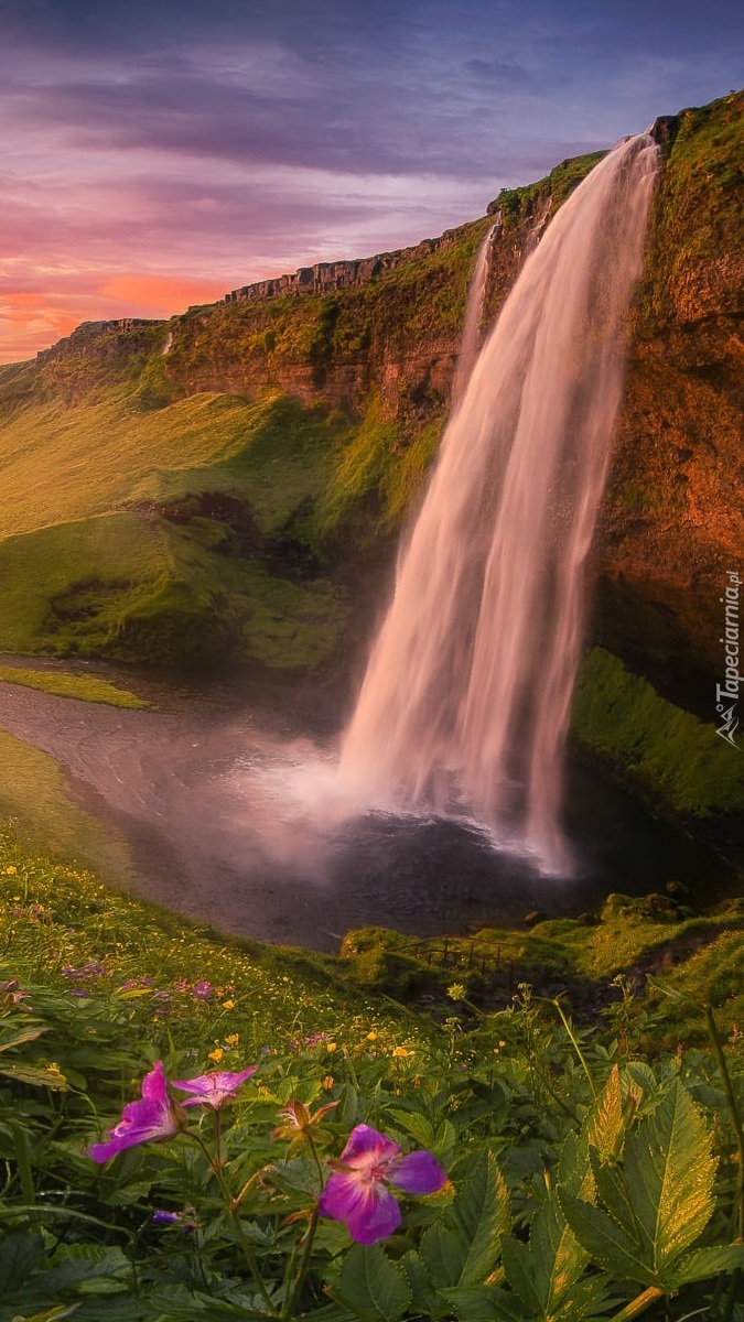 Wodospad Seljalandsfoss w blasku zachodzącego słońca