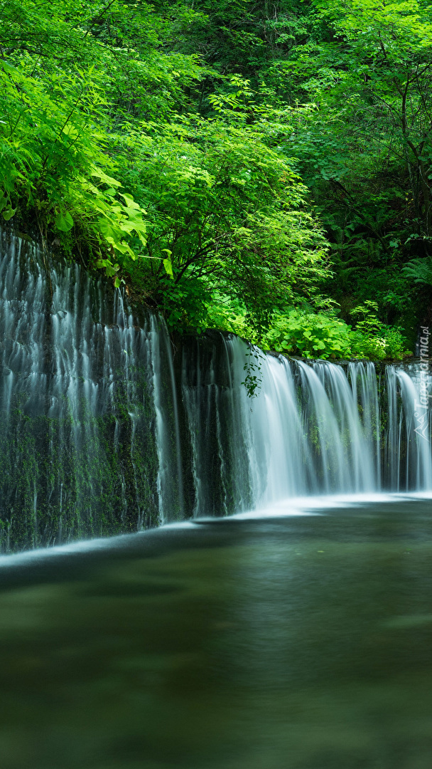 Wodospad Shiraito Falls