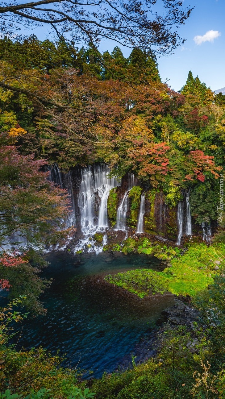 Wodospad Shiraito w Parku Narodowym Fudżi Hakone Izu