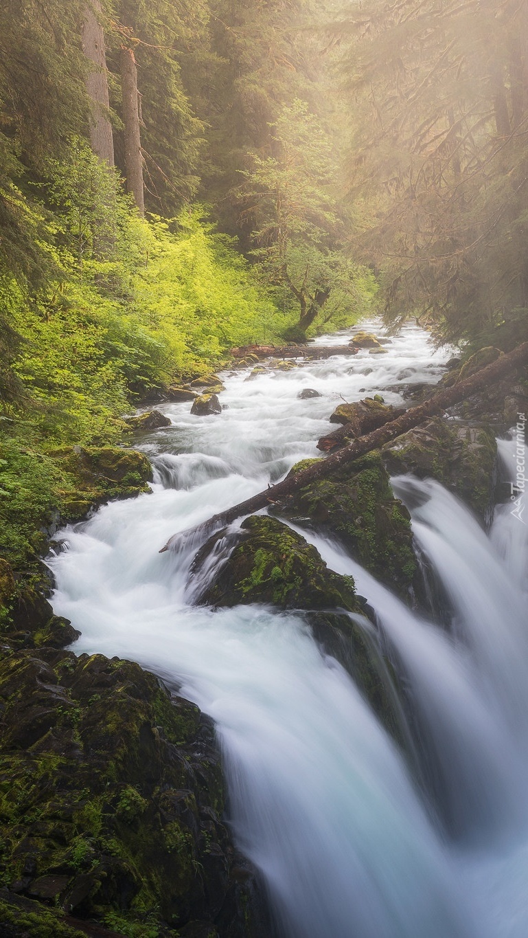 Wodospad Sol Duc Falls