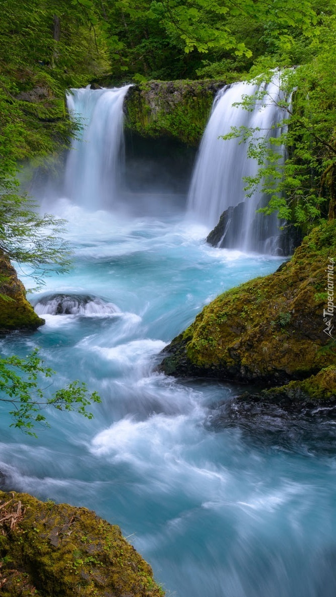 Wodospad Spirit Falls wpadający do rzeki Little White Salmon River