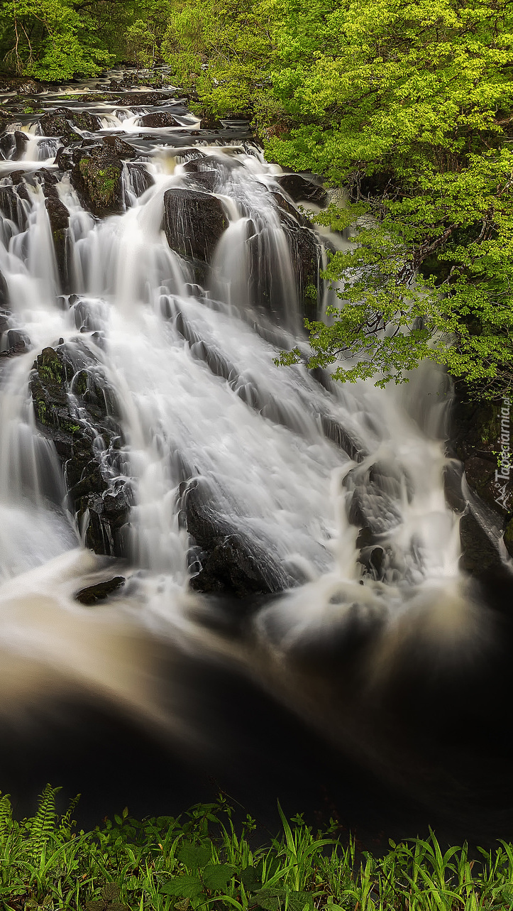 Wodospad Swallow Falls