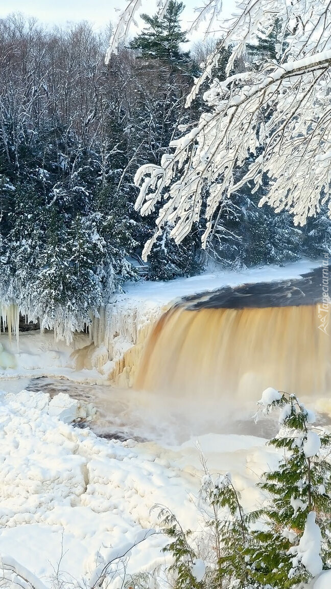 Wodospad Tahquamenon Falls w lesie zimą