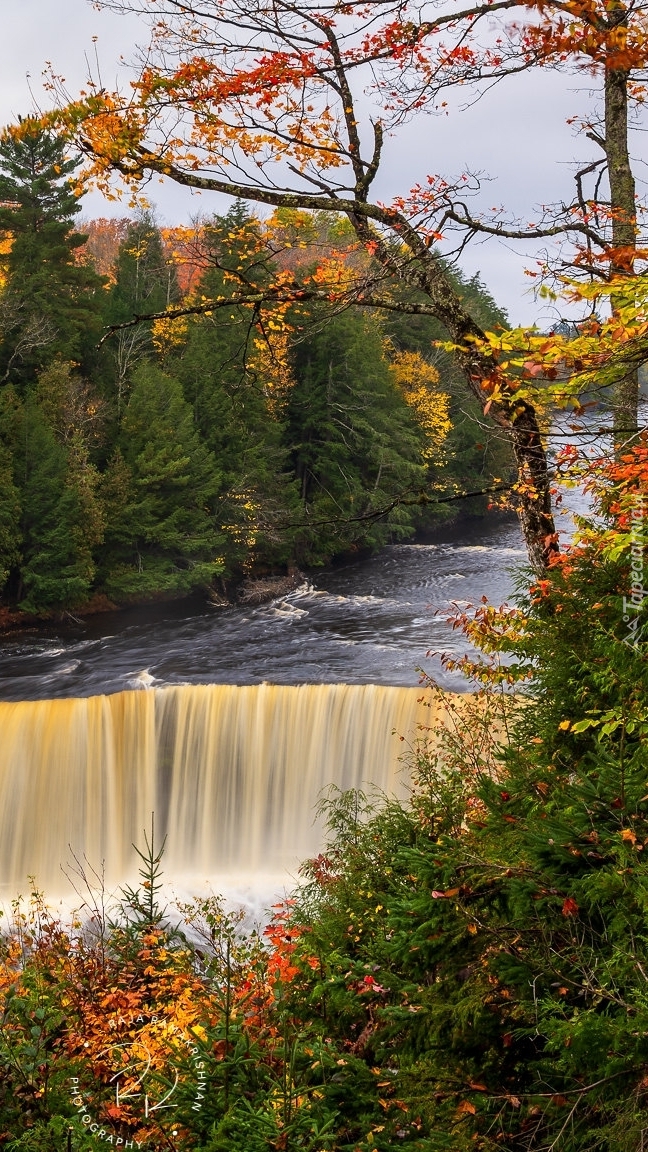 Wodospad Tahquamenon Falls