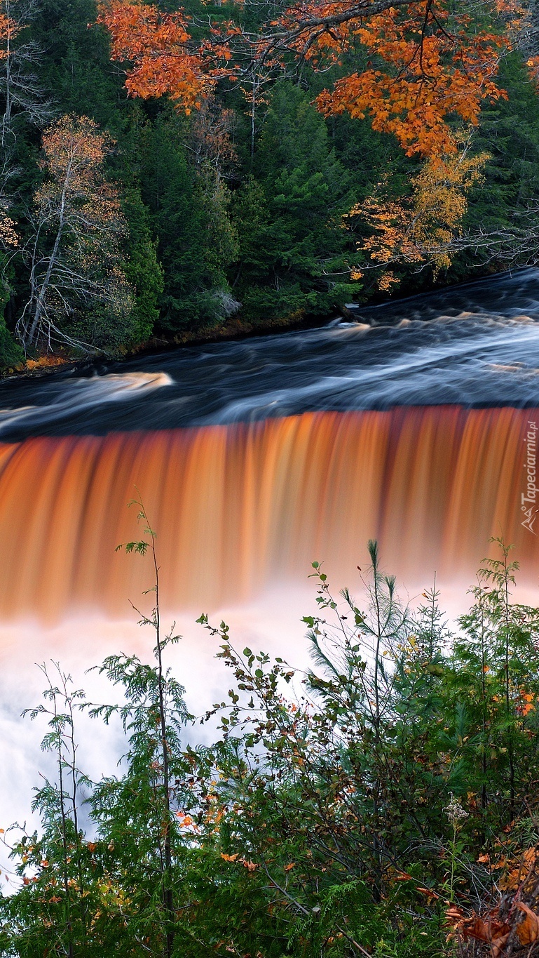 Wodospad Tahquamenon