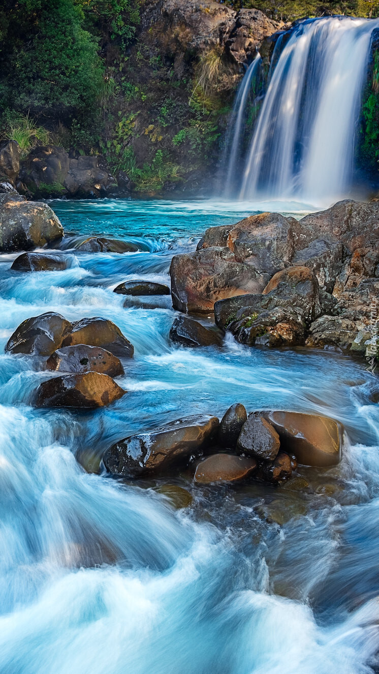 Wodospad Tawhai Falls