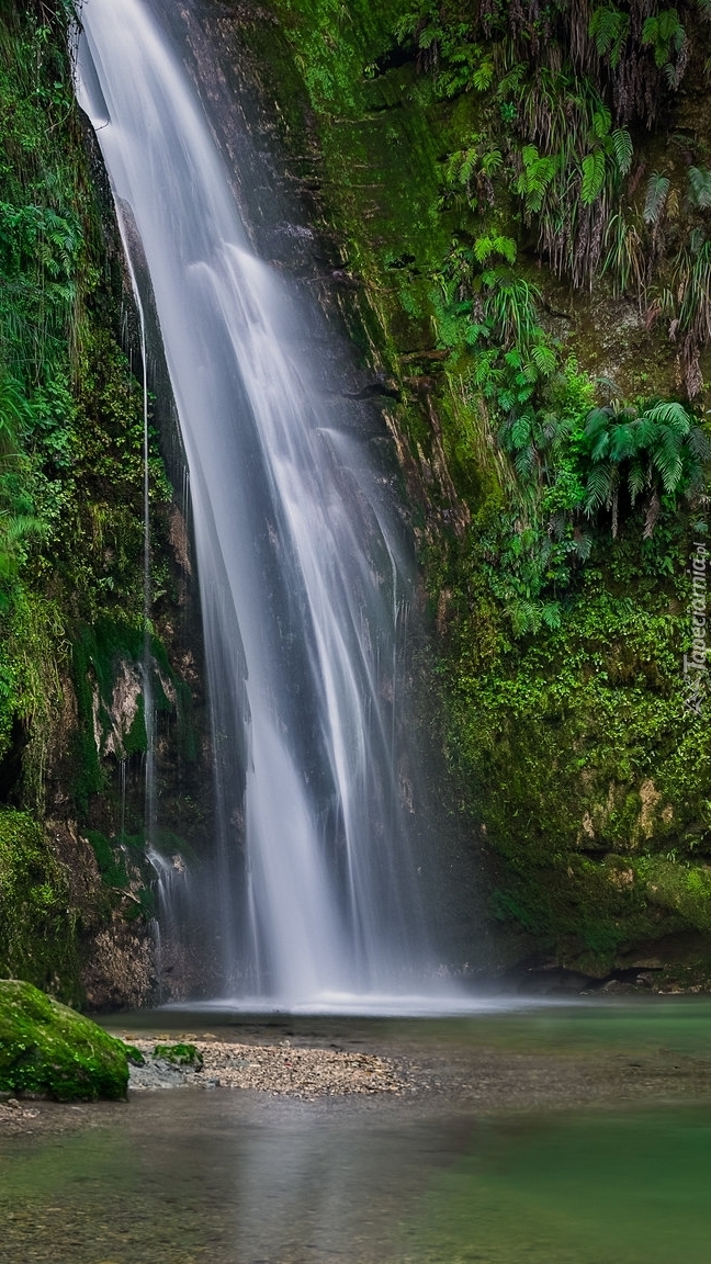 Wodospad Te Ana Falls