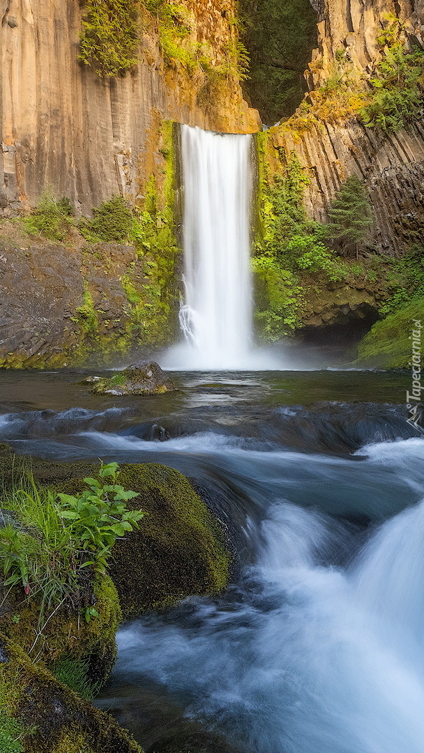 Wodospad Toketee Falls