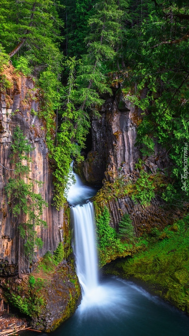 Wodospad Toketee Falls