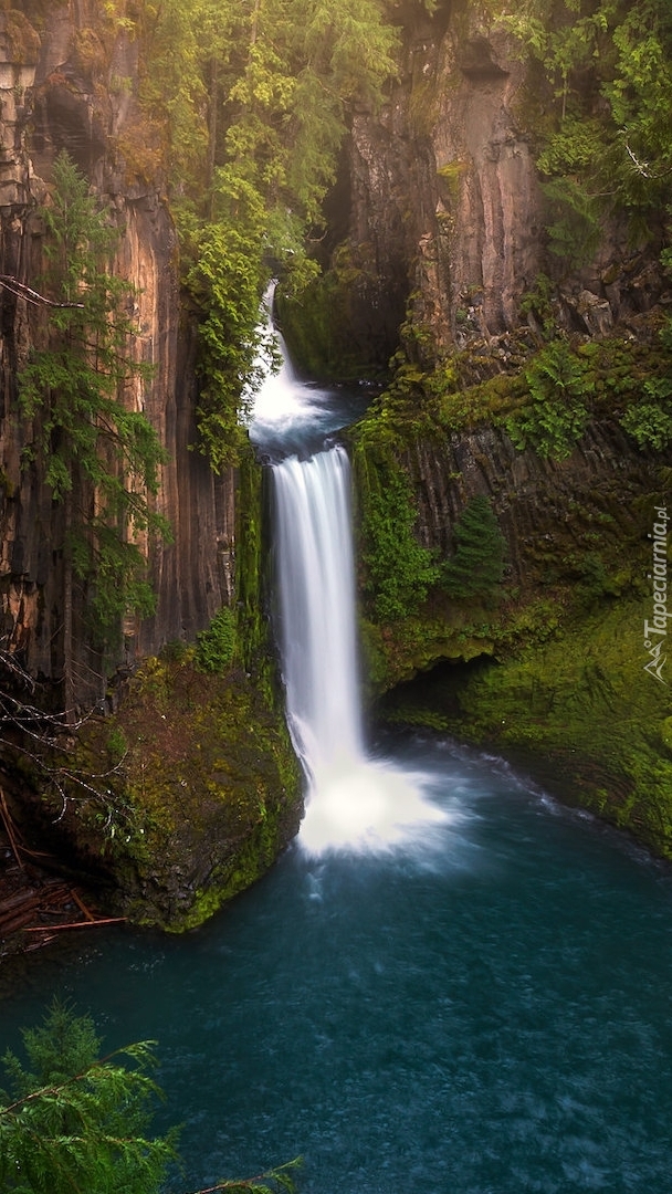 Wodospad Toketee Falls