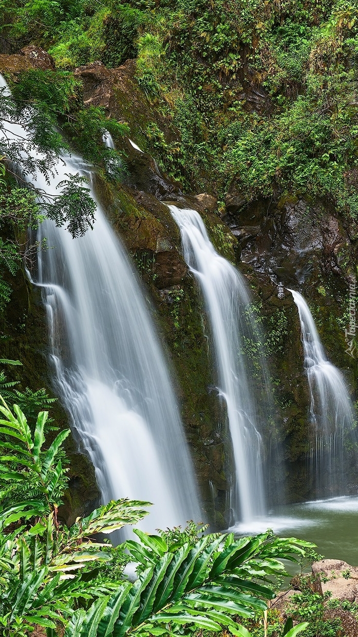 Wodospad Upper Waikani Falls