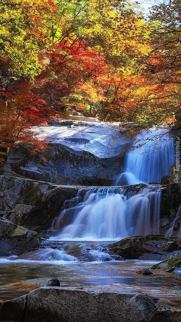 Wodospad w jesiennym lesie