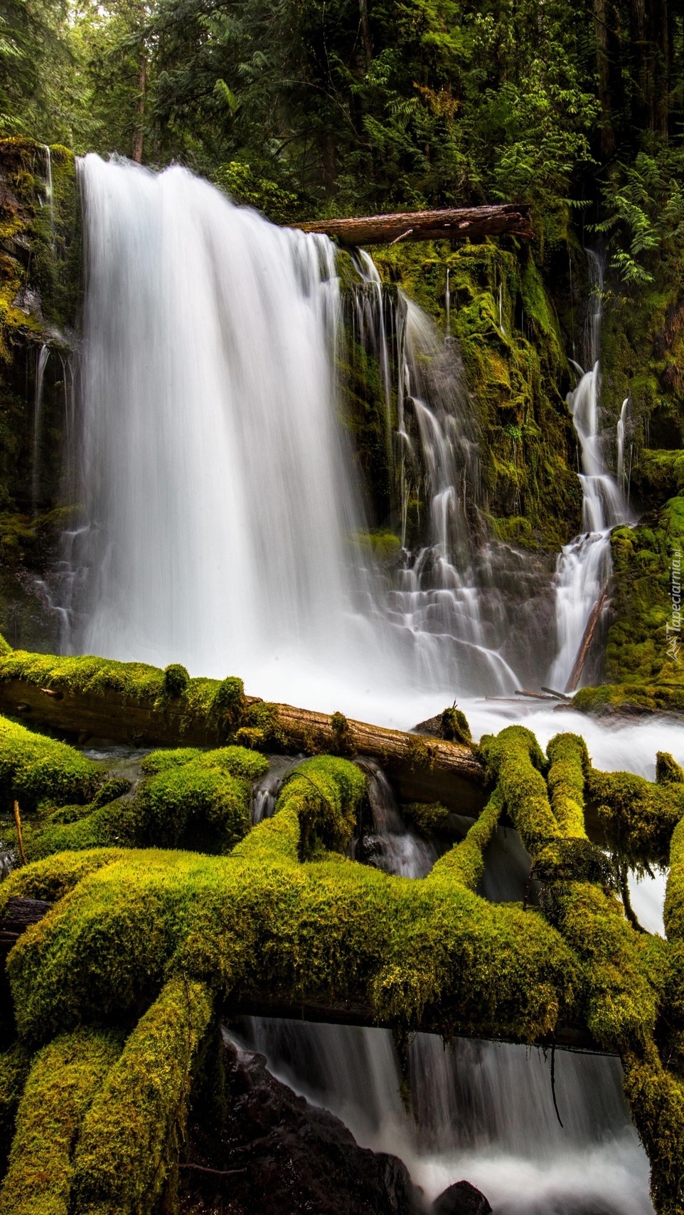 Wodospad w Oregonie