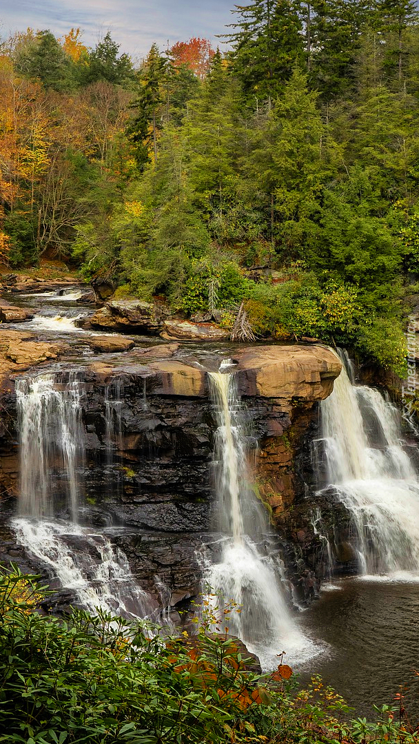 Wodospad w Parku stanowym Blackwater Falls w Wirginii