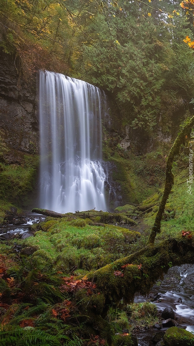 Wodospad w rezerwacie przyrody Columbia River Gorge