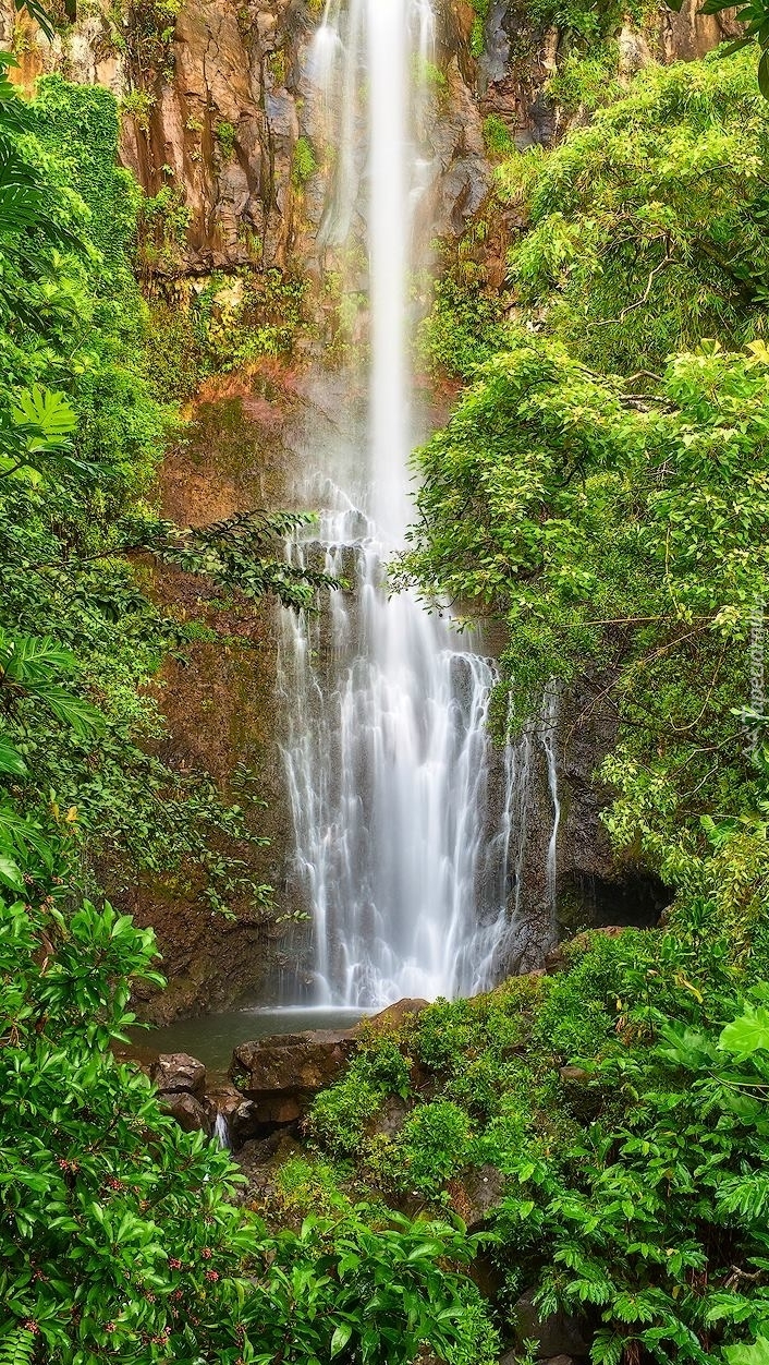 Wodospad Waimoku Falls