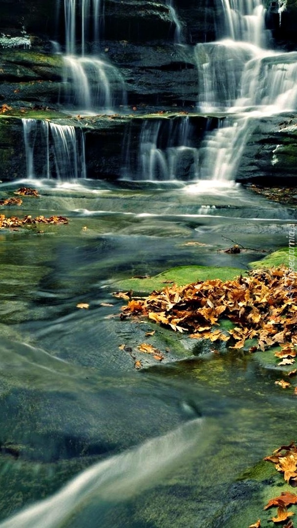 Wodospad z opadłymi jesiennymi liśćmi