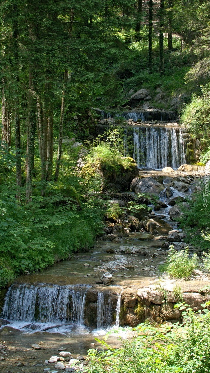 Wodospady kaskadowe na leśnej rzece