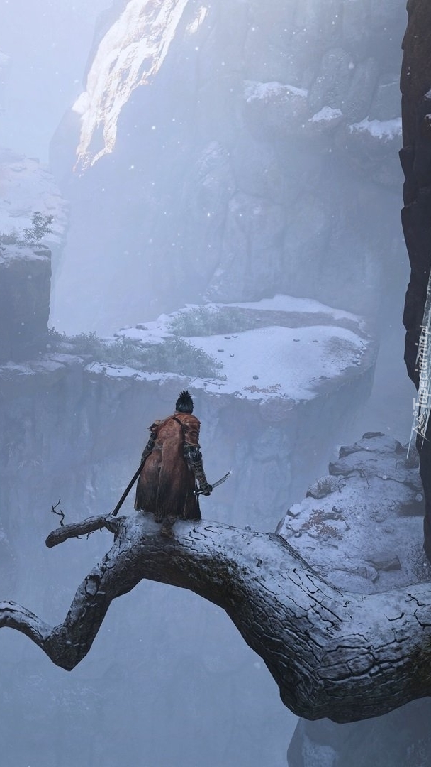 Wojownik Sekiro stoi na konarze drzewa