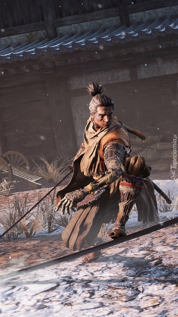 Wojownik Sekiro