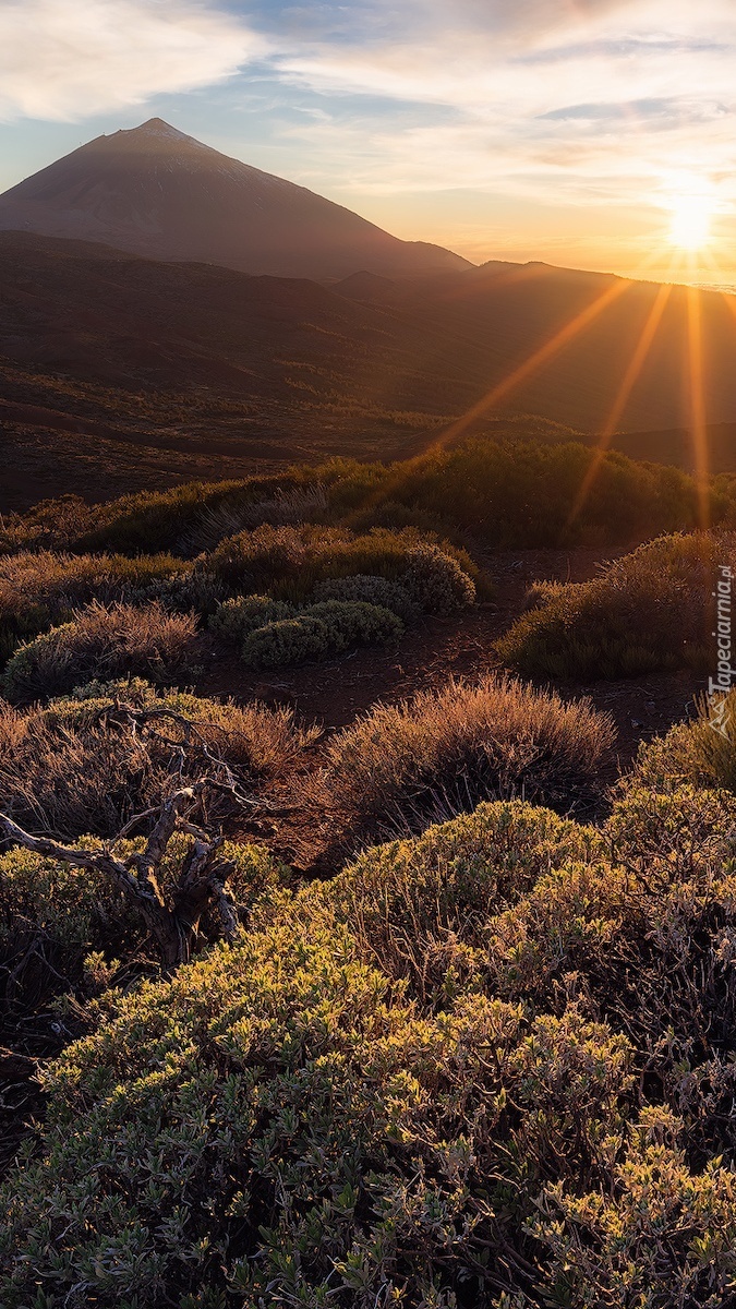 Wschód słońca nad górą Teide na Teneryfie